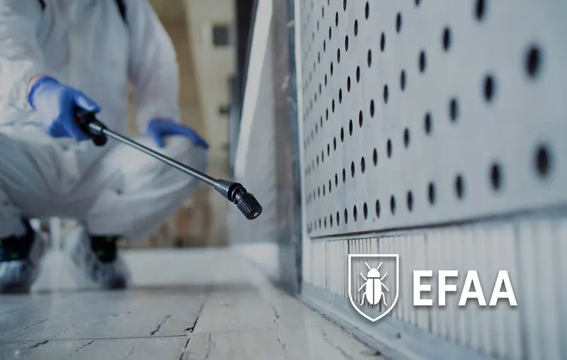 Efaa - réalisation Deight Visu