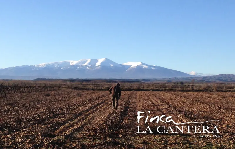 Finca - réalisation Deight Visu